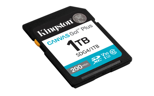 SDG4/1TB - Cartão de memória padrão SD de 1TB Canvas Go Plus (Leitura = 200MB/s) Classe 10 U3 V30