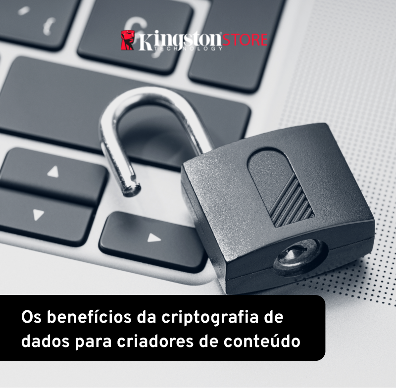 Os benefícios da criptografia de dados para criadores de conteúdo.