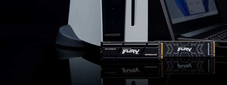 Kingston FURY Renegade SSD