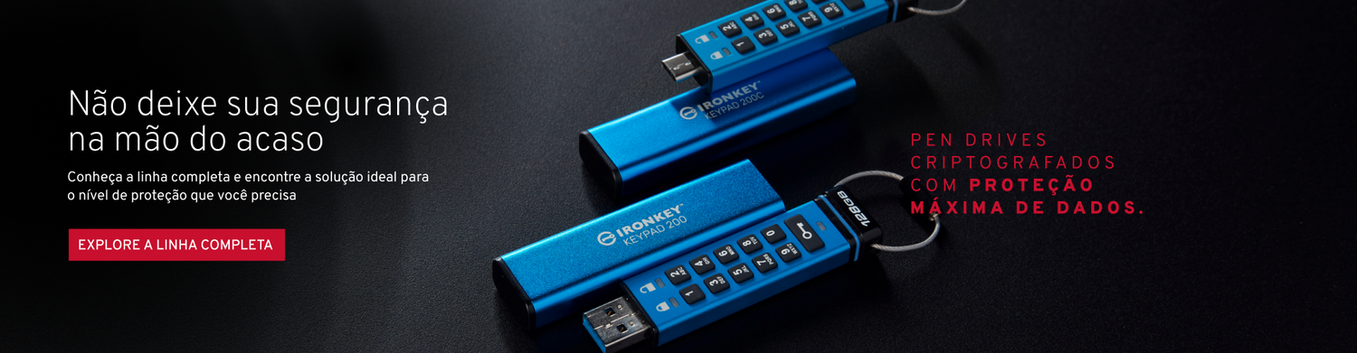 PEN DRIVE SEGURANÇA CRIPTOGRAFADOS