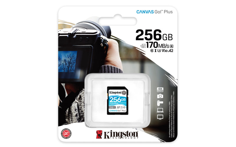 SDG3/256GB - Cartão de memória padrão SD de 256GB Canvas Go Plus (Leitura = 170MB/s) Classe 10 U3 V30